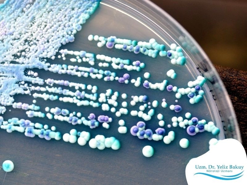 Biorezonans İle Candida Tedavisi